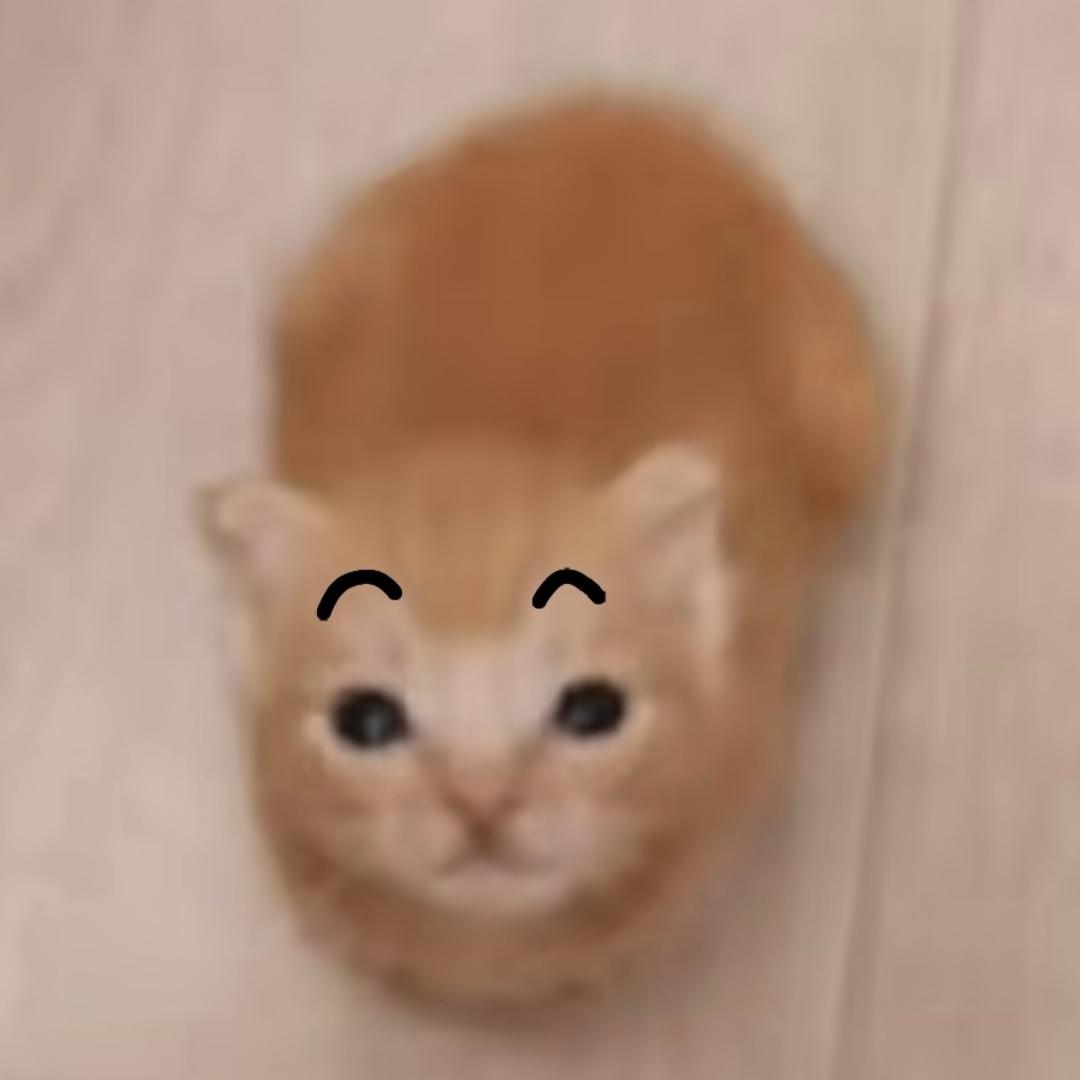 炫酷狂拽狗老大。