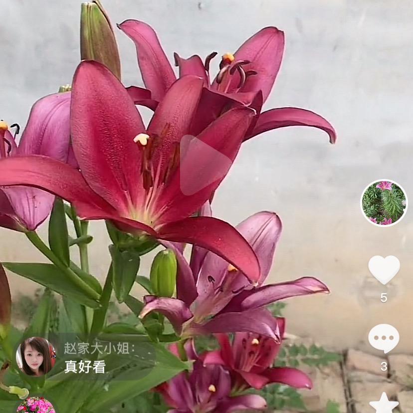 雨滴🔆