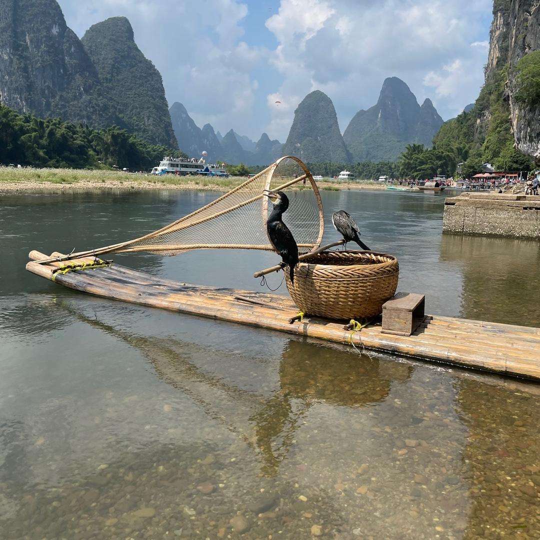 ☘🌺兰🌺☘🌹🌹