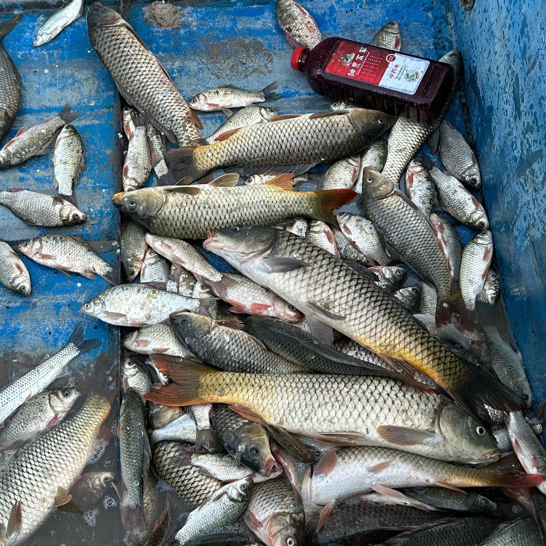 爱钓鱼的小王🎣