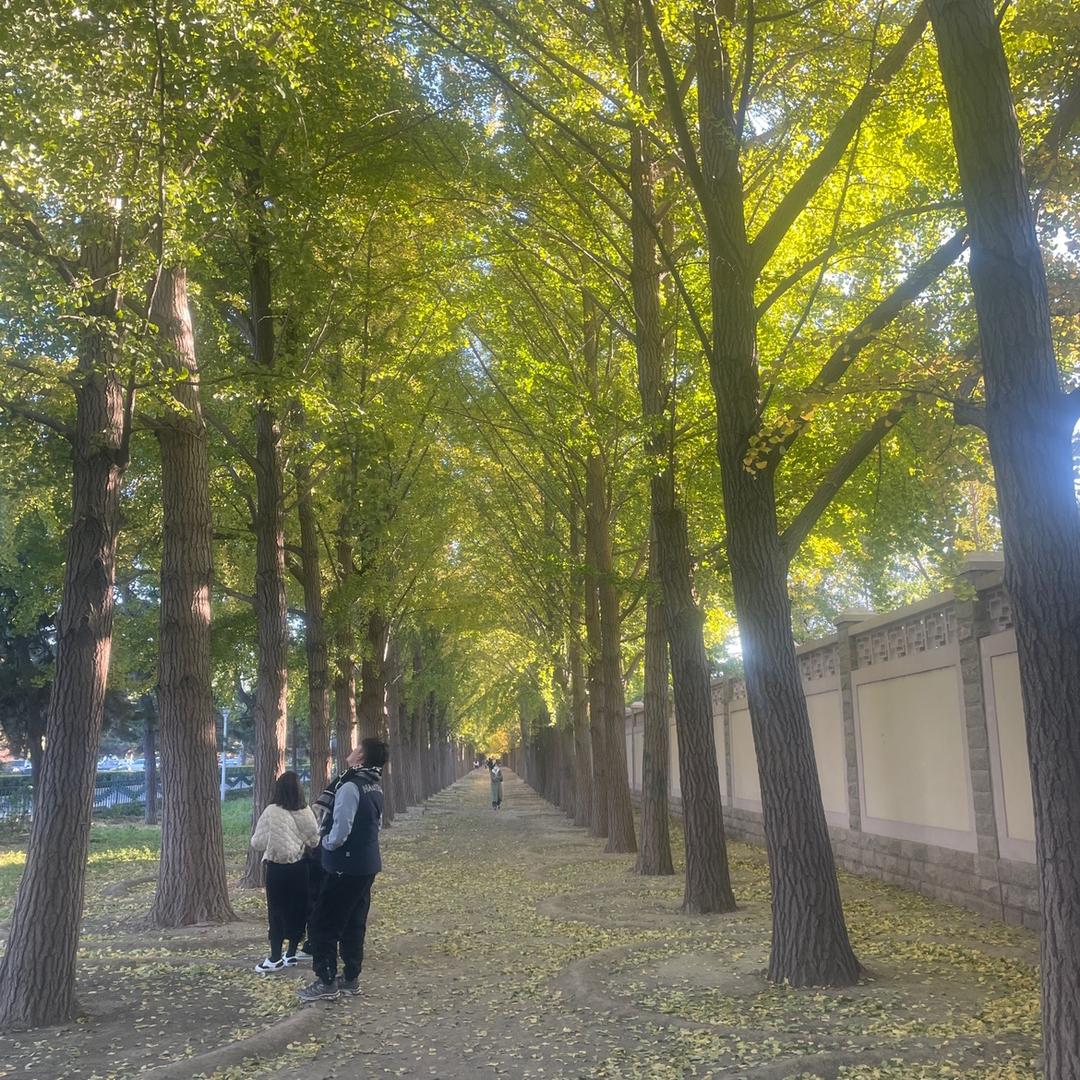 青春没有售价，猛踹婆婆大胯@抖音