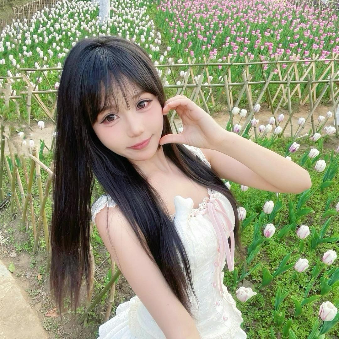 猫猫（YH）