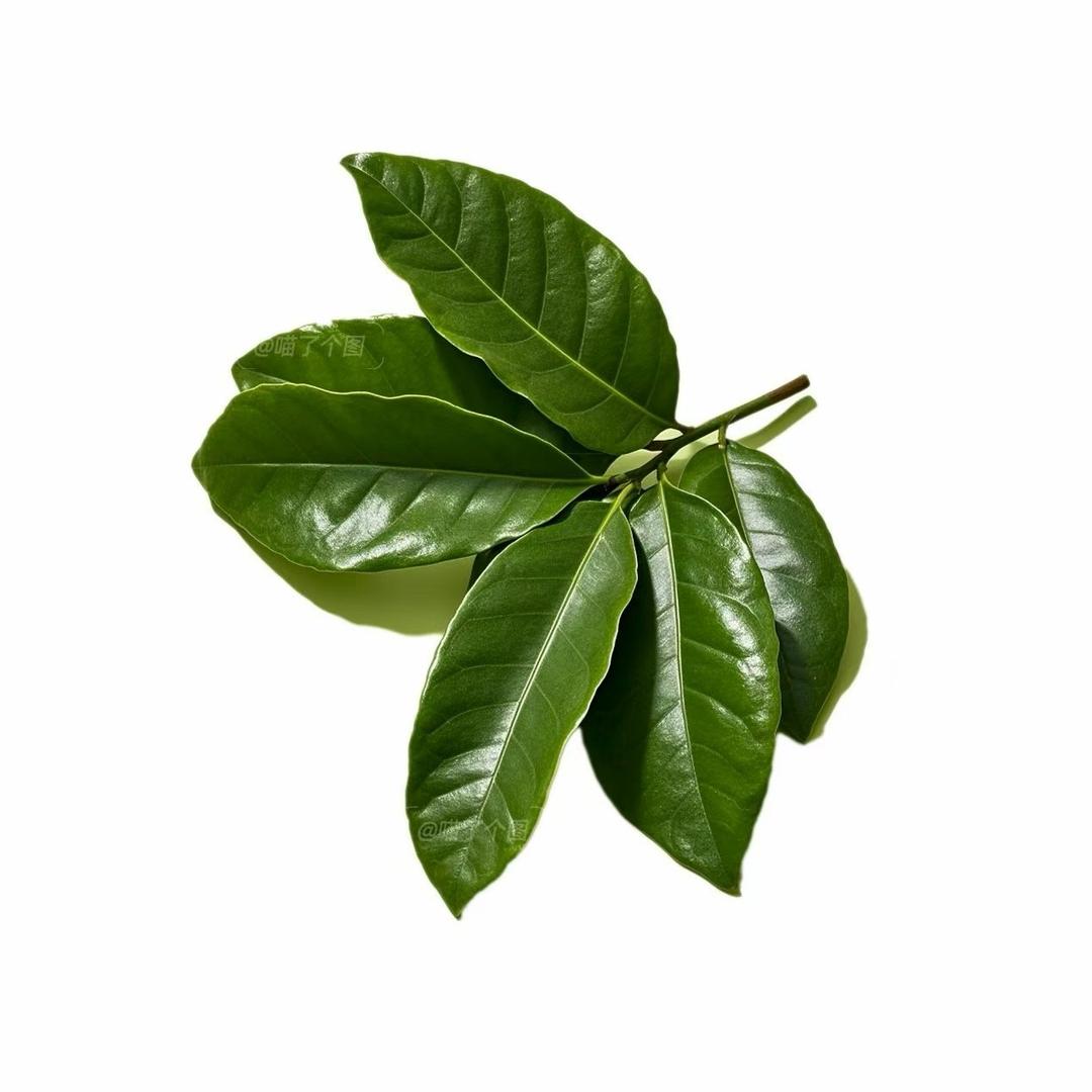 我是你的Uu