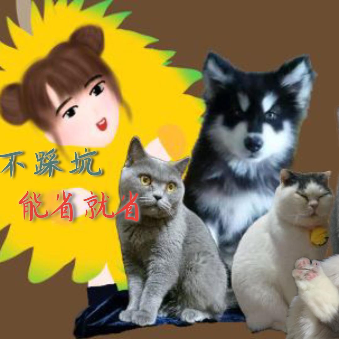 喵久金饭碗