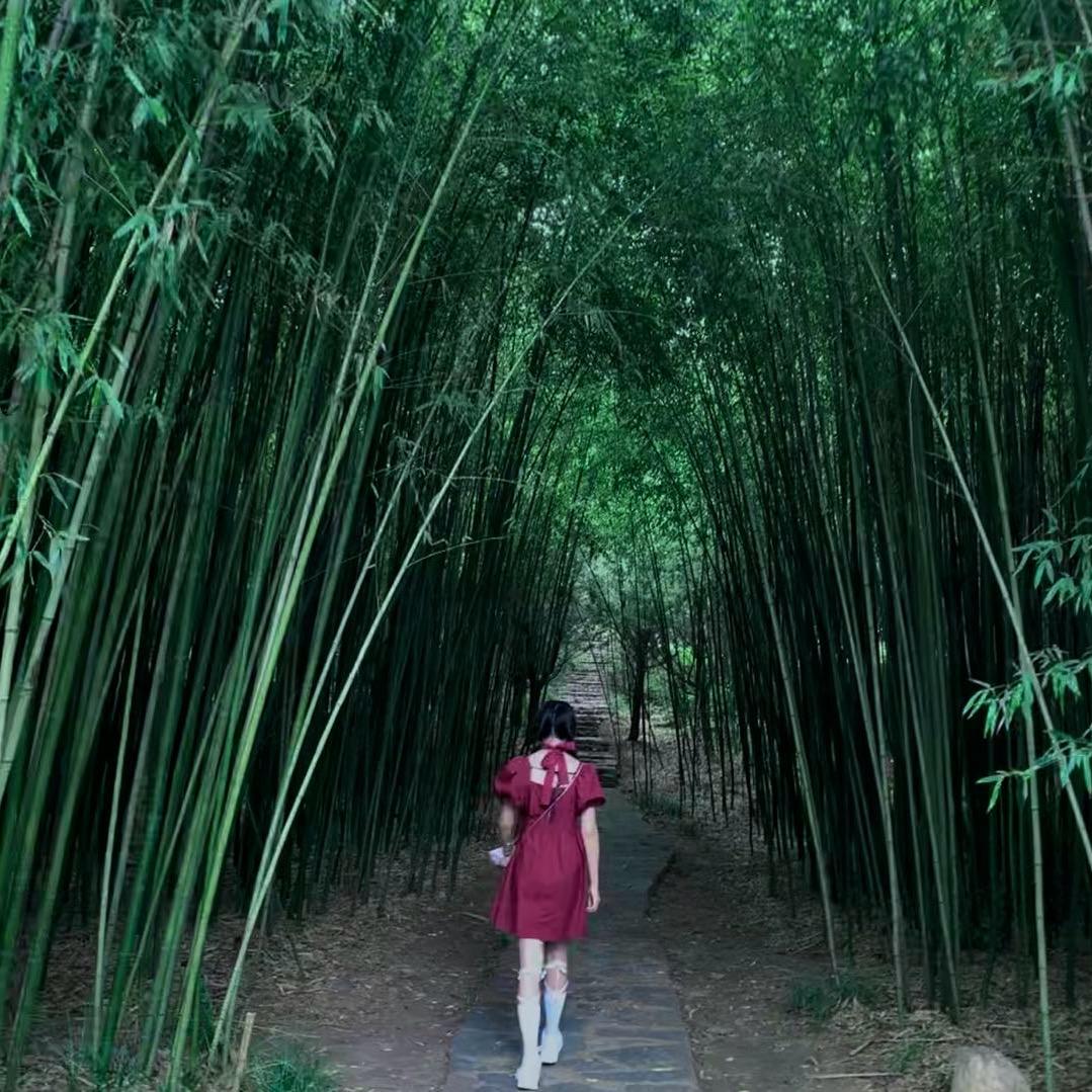 余生安好💐