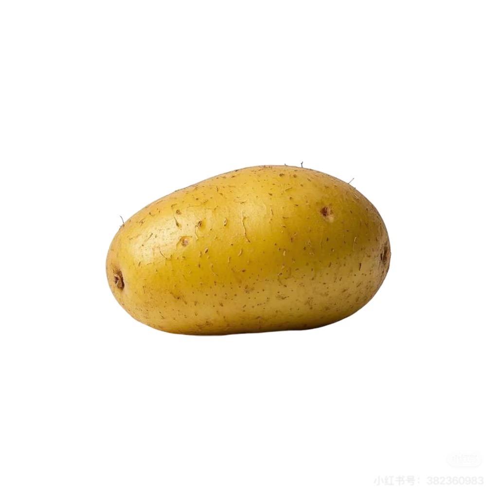 天才马铃薯🥔