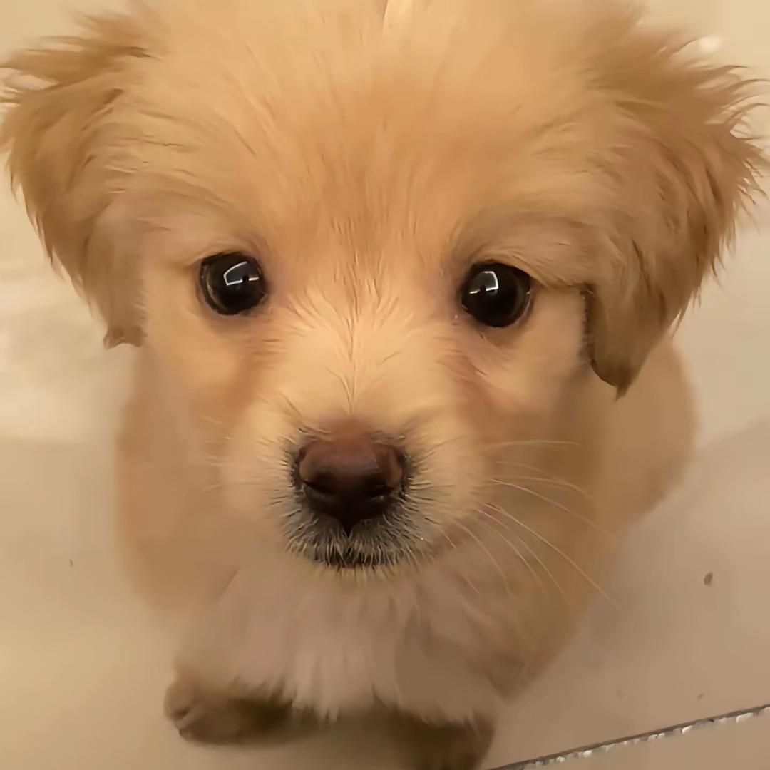 小然喵