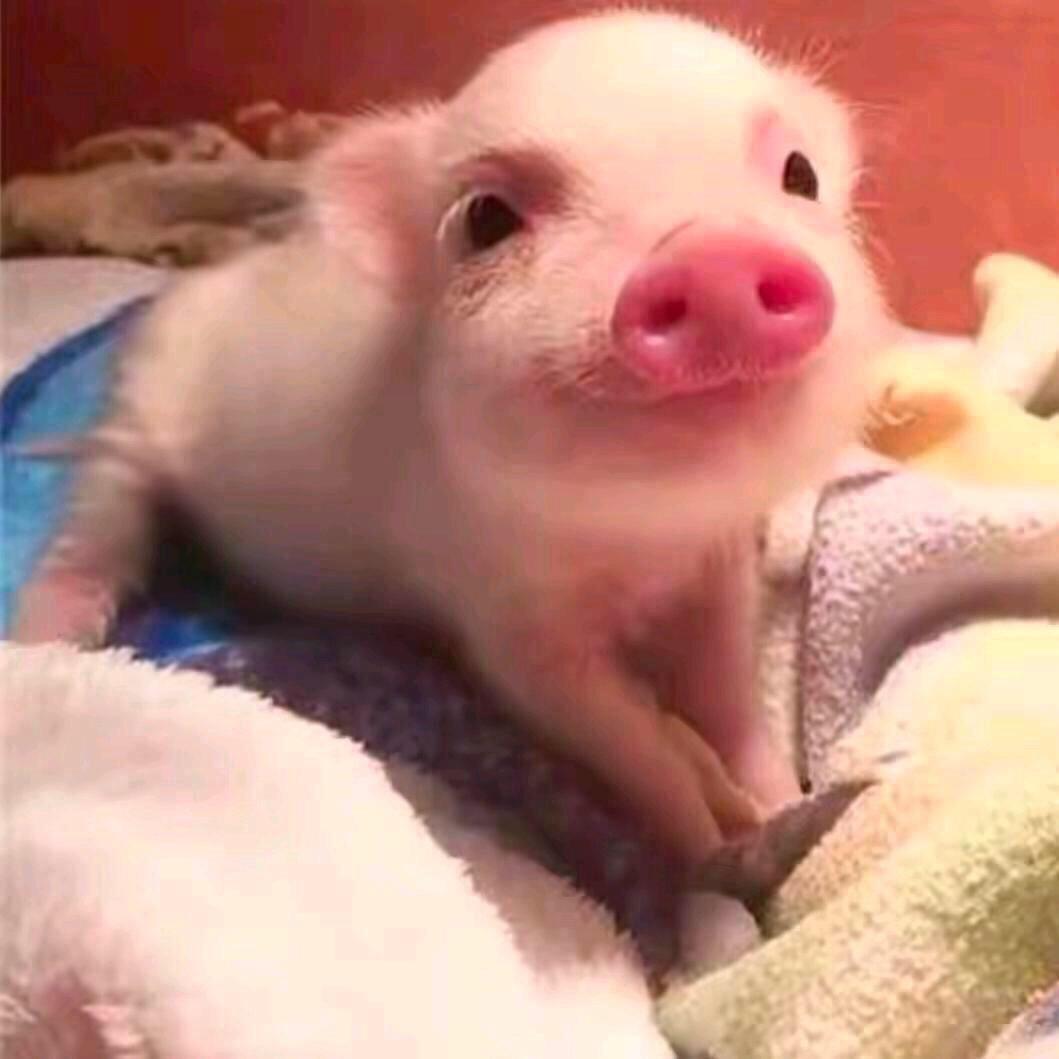 冰冻可乐（歌好听版）