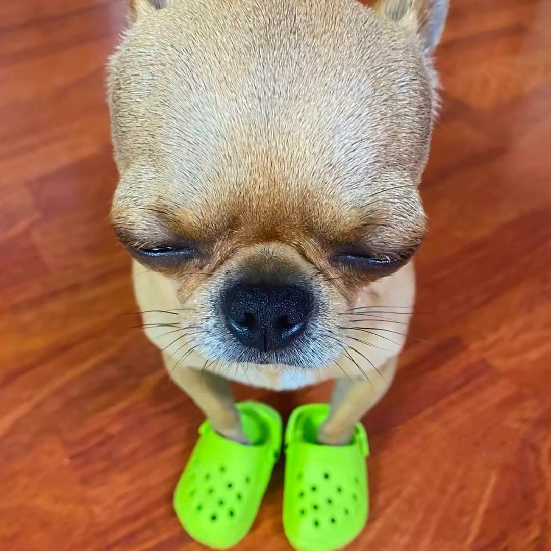Ruuu