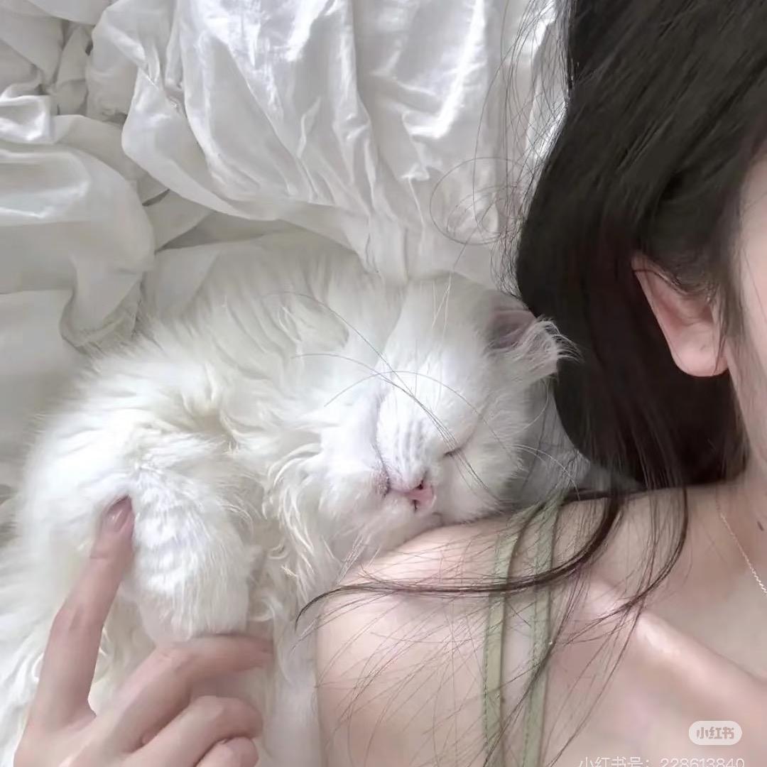 小五哟💫