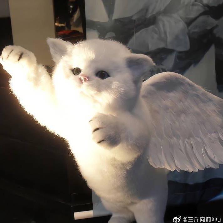 潘晴天