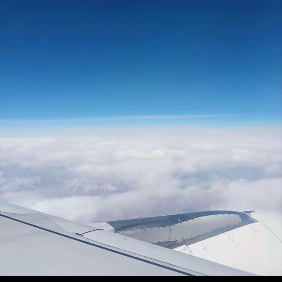 用户34518349159461