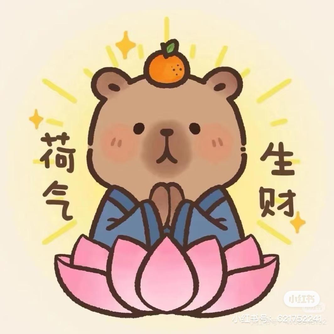 小灰灰～