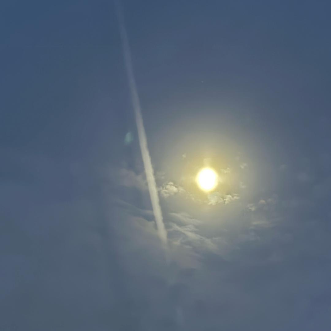 蹦起来有一米八