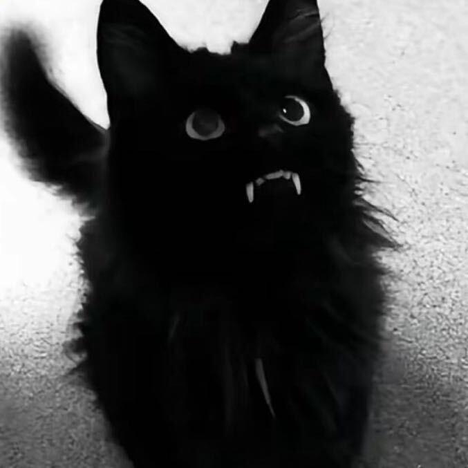 ㅤㅤㅤ