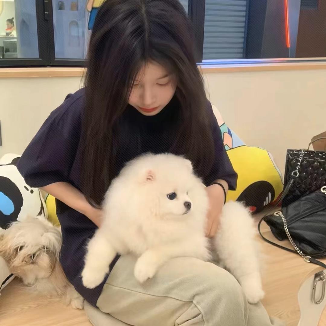 小乖-