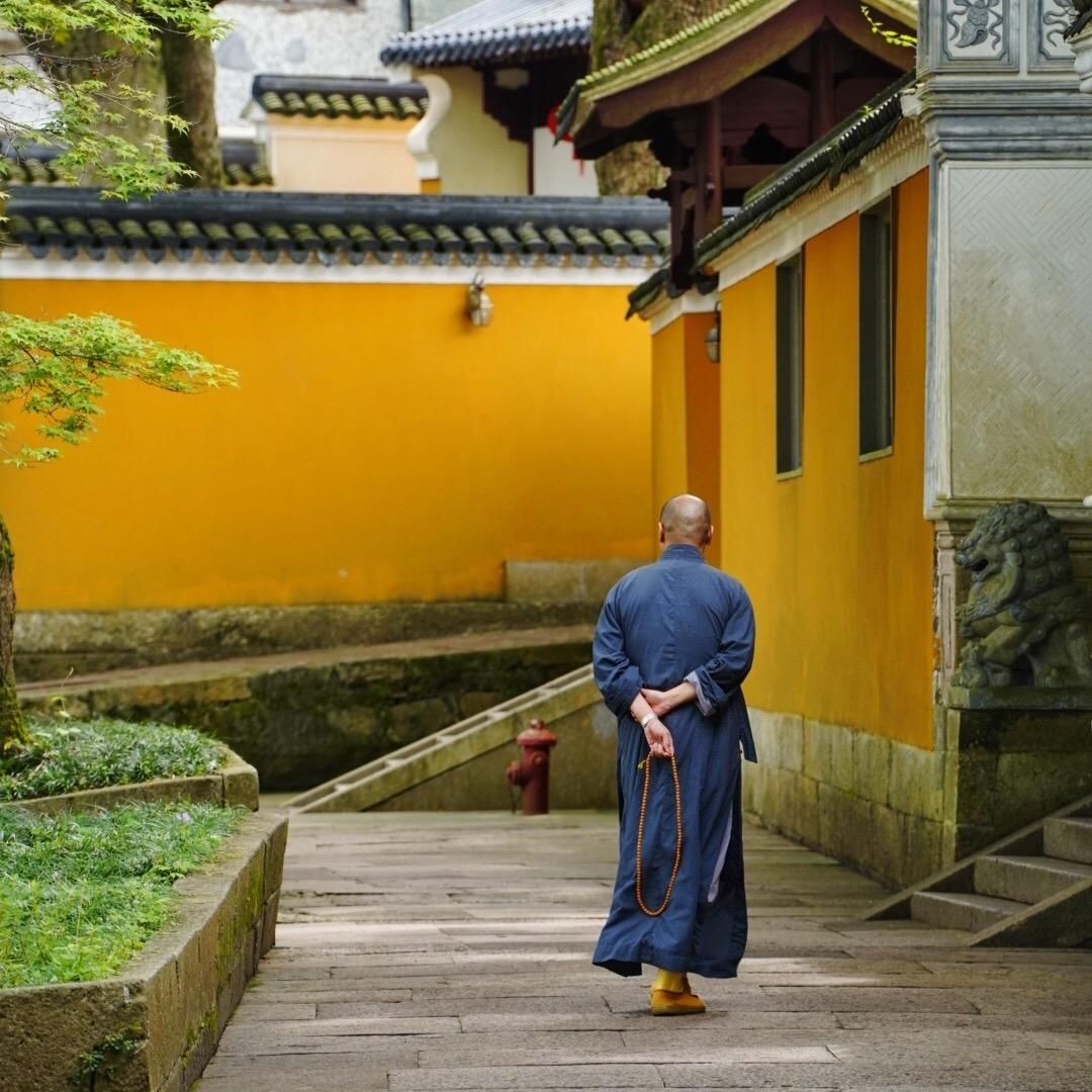 煎雪竹叶🪷