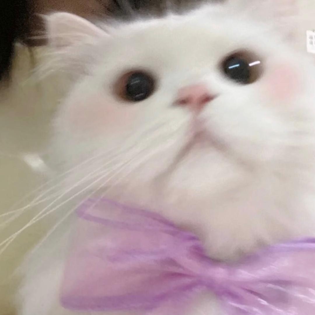 小李晕晕