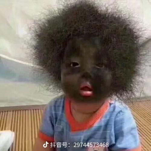 杜仲淫羊藿
