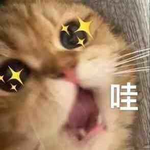 栗子的居家日记