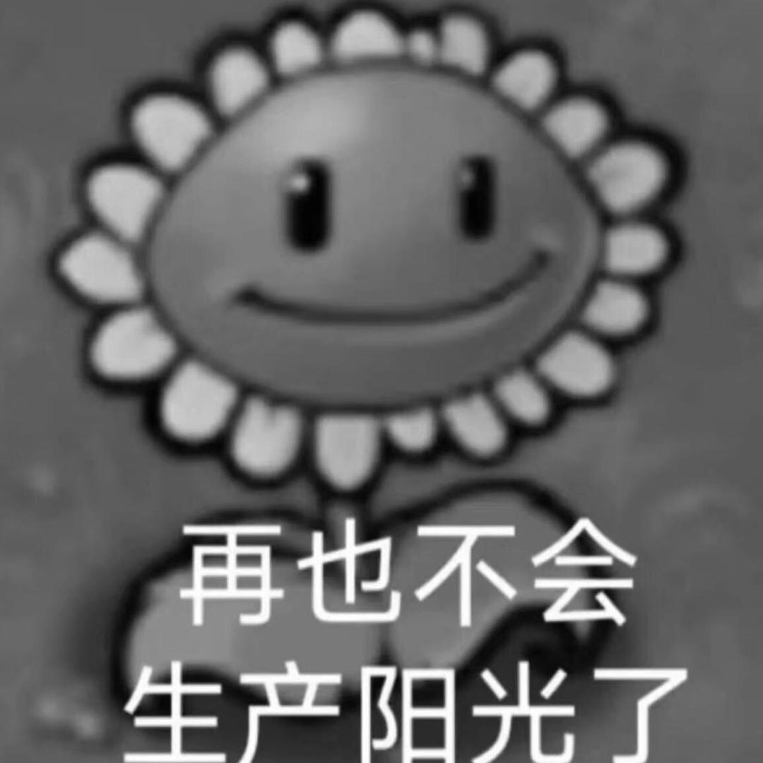 不发光的太阳花