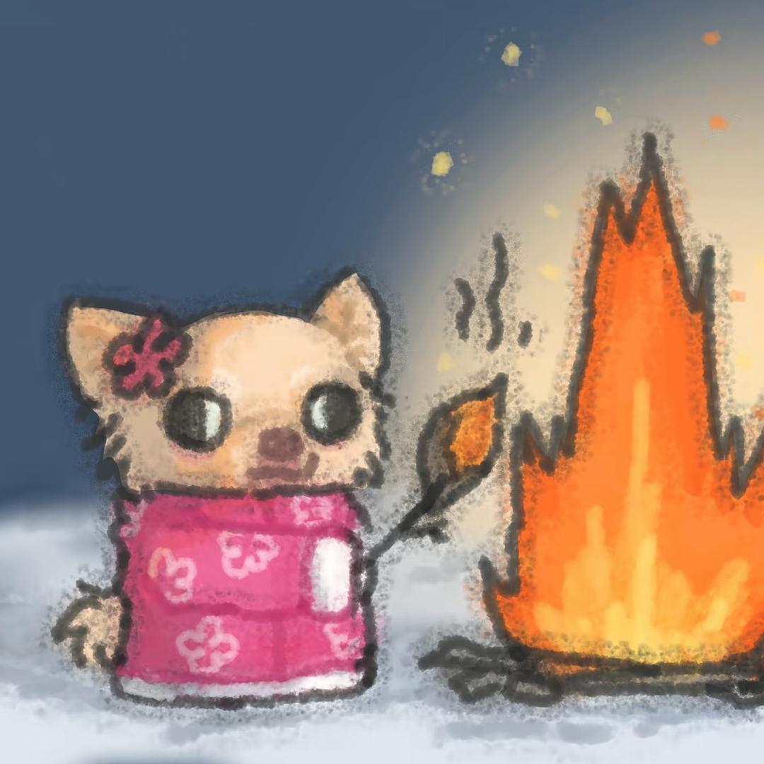 哈喽小猫