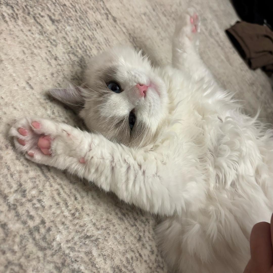 @白了白📷 站哥