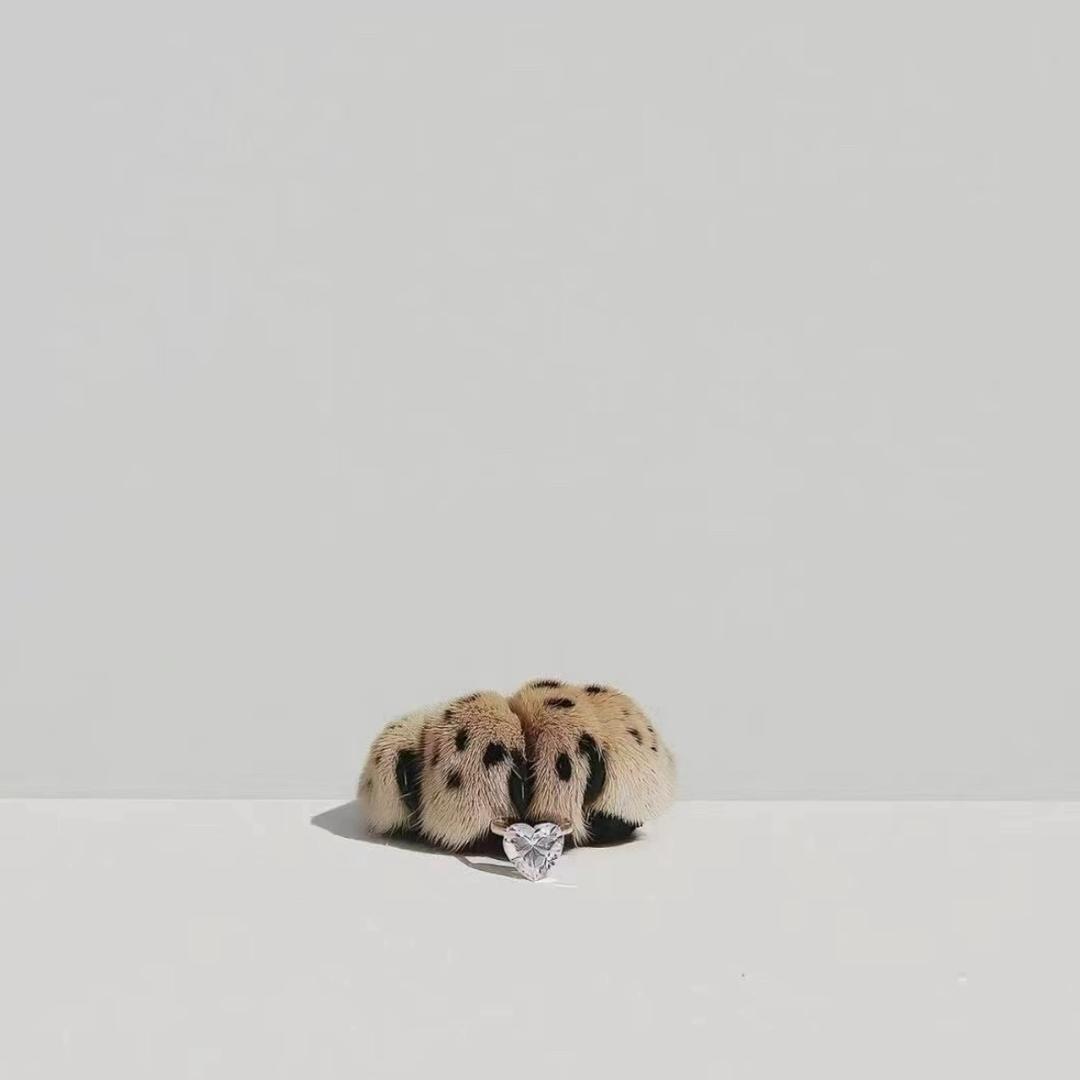 慧的