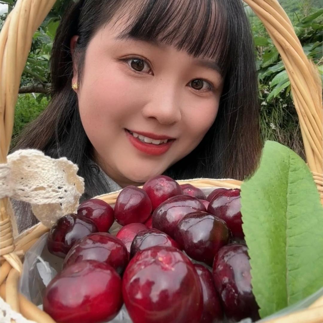 种车厘子的小赵🍒（车厘子树苗）