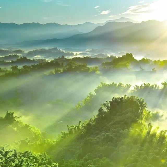 小麦🌾玉米🌽