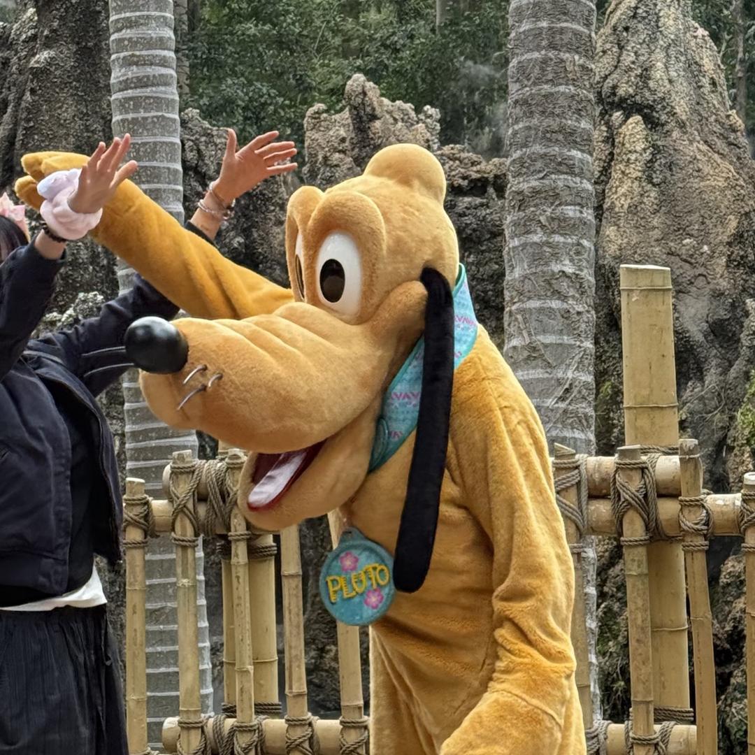 土土的小跟班🐰