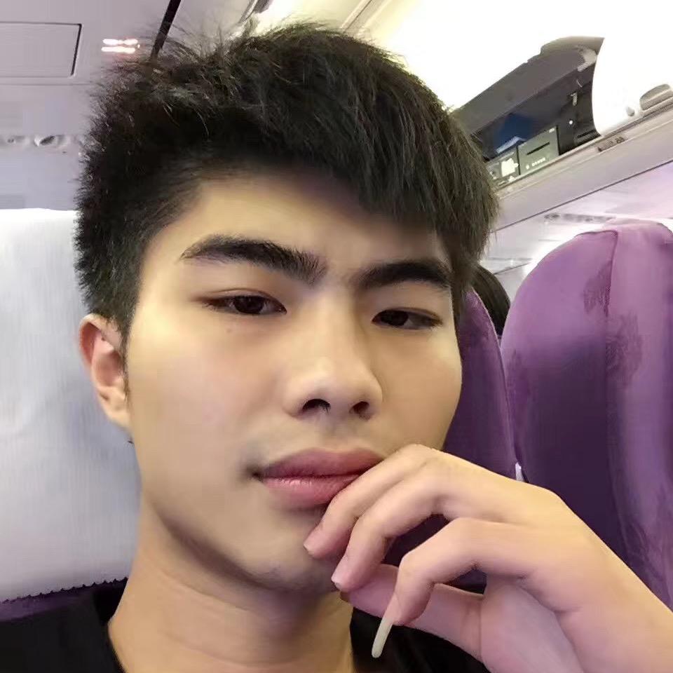 🐷🐷侠