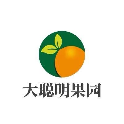 大聪明果园
