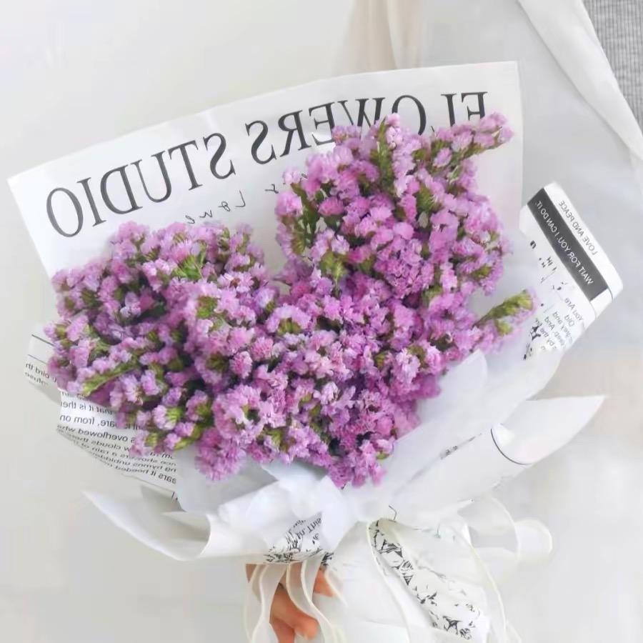 七彩云南花卉
