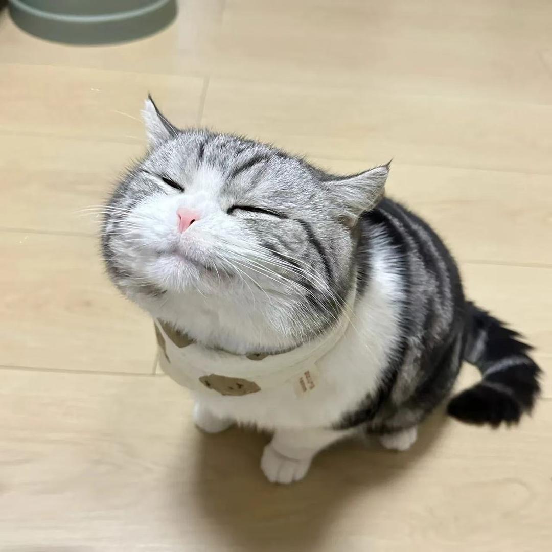 老普