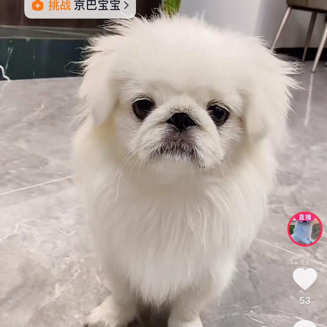 り偶尔的小情绪ゝ