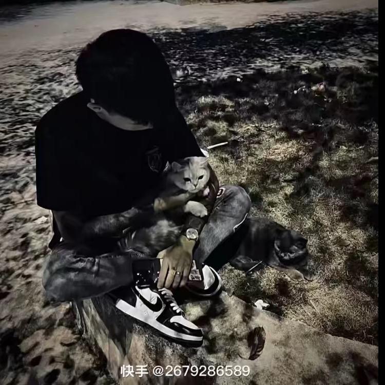 凯凯儿.