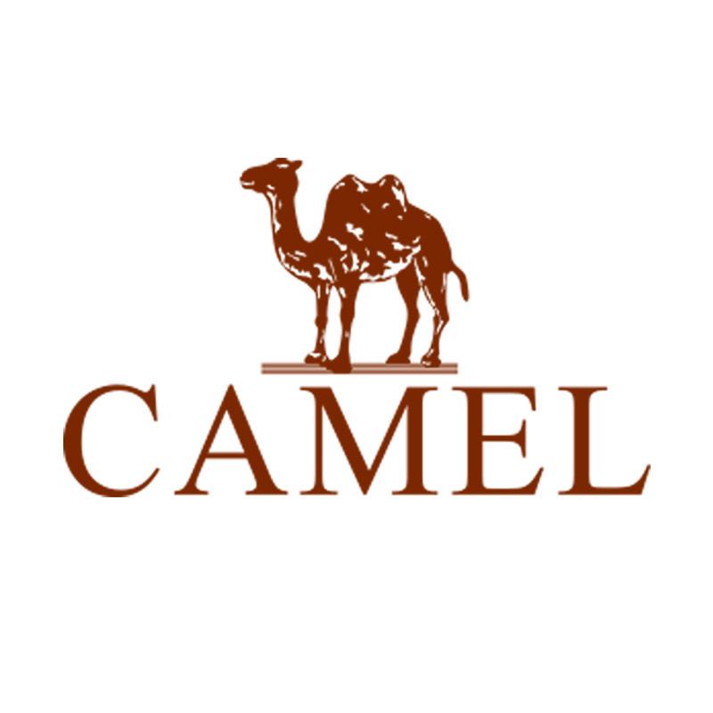 CAMEL骆驼女鞋旗舰店授权号