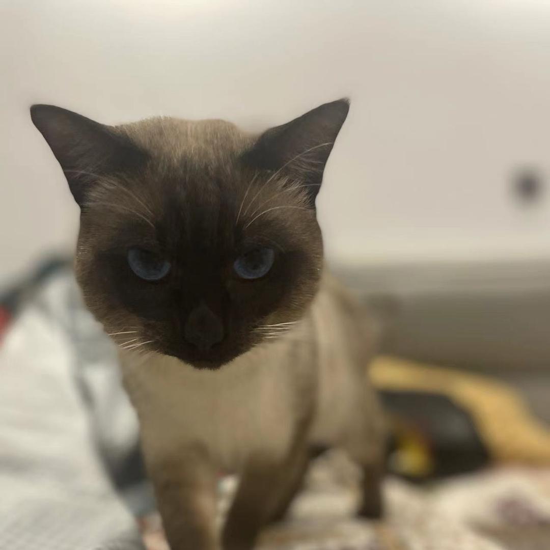 PVE丶无尘（三角洲）