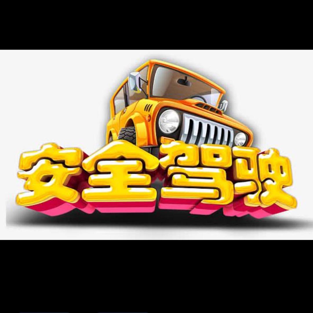 辽A安全行车警示录