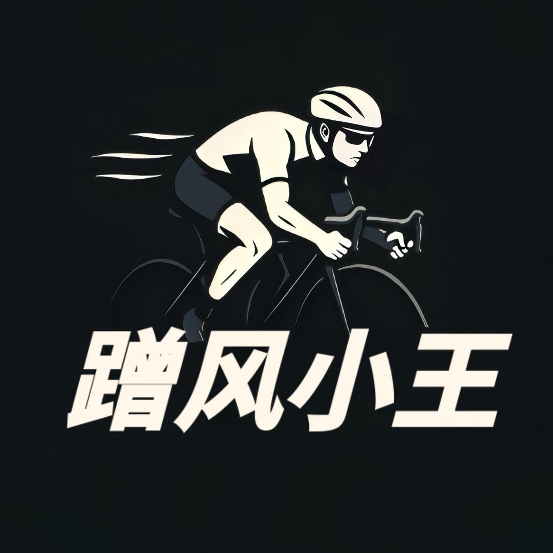 蹭风小王