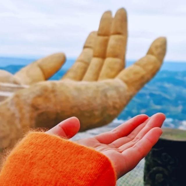 红豆杉谷景区官方号