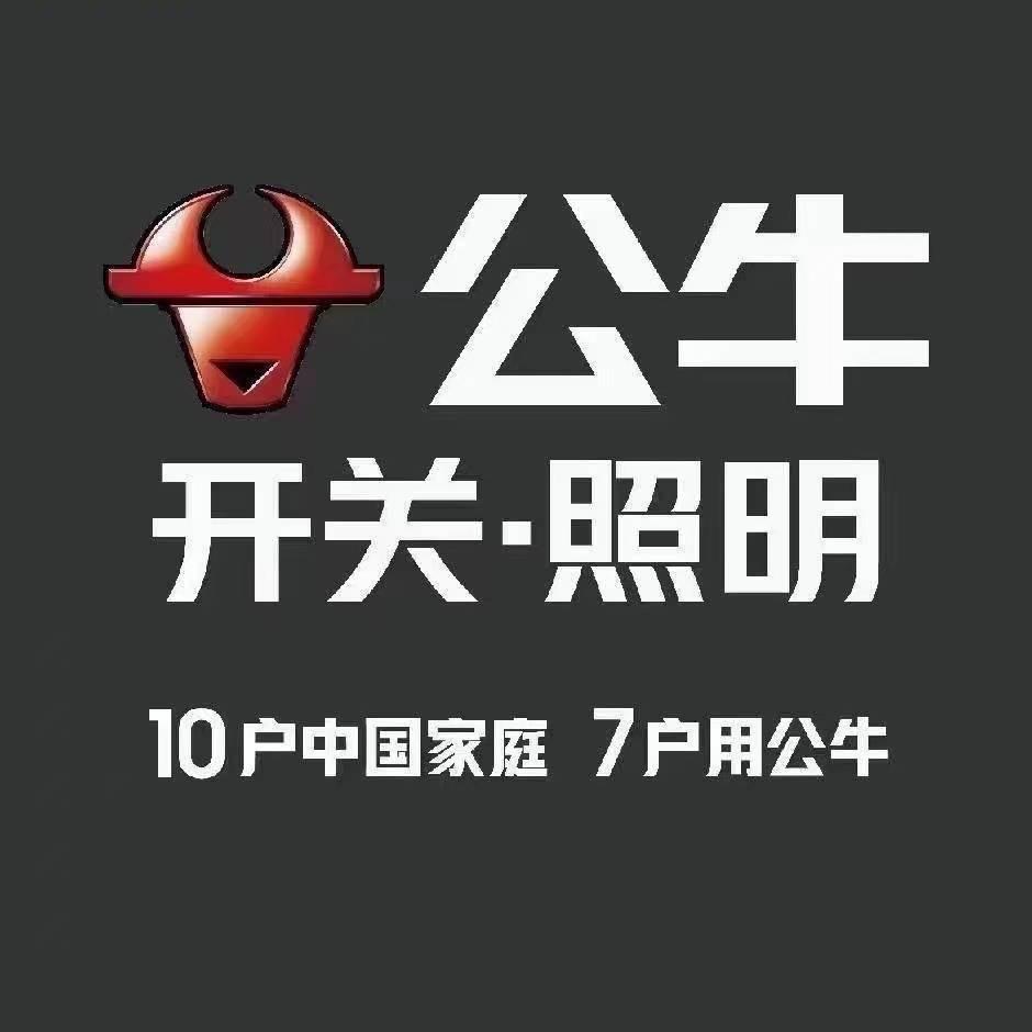 公牛旗舰店（沛县领创店）