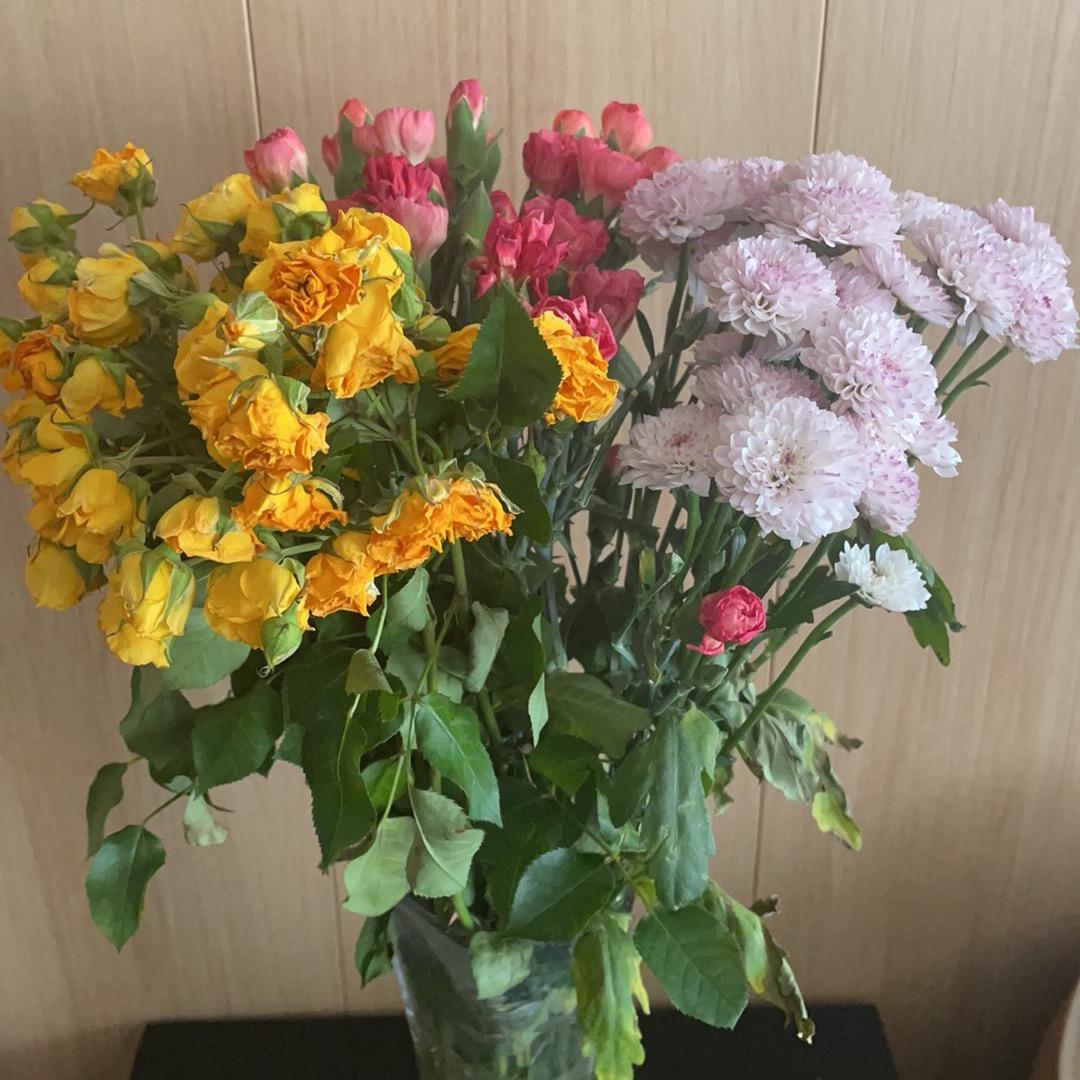 执着翱翔