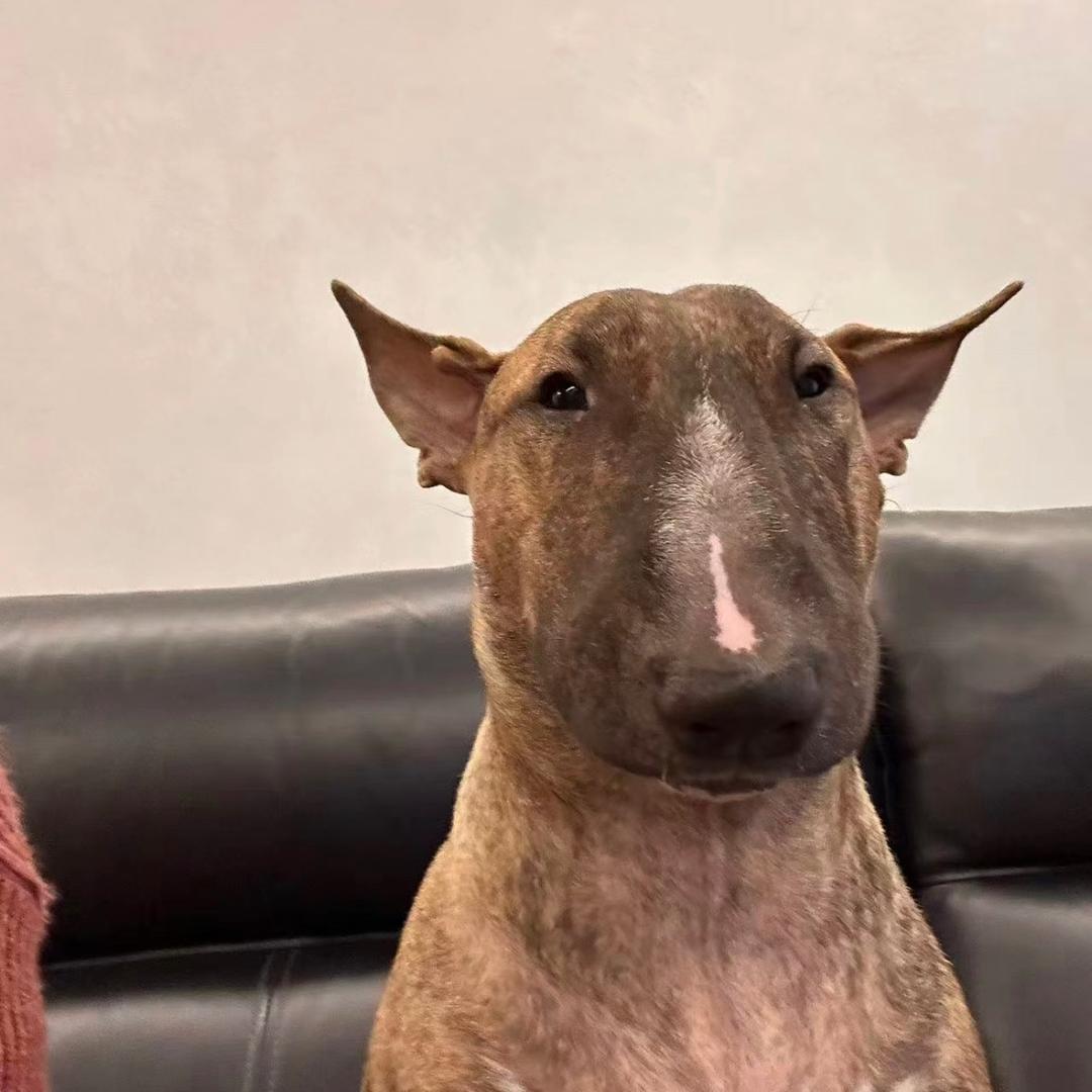 金牛区冒牌货冒菜