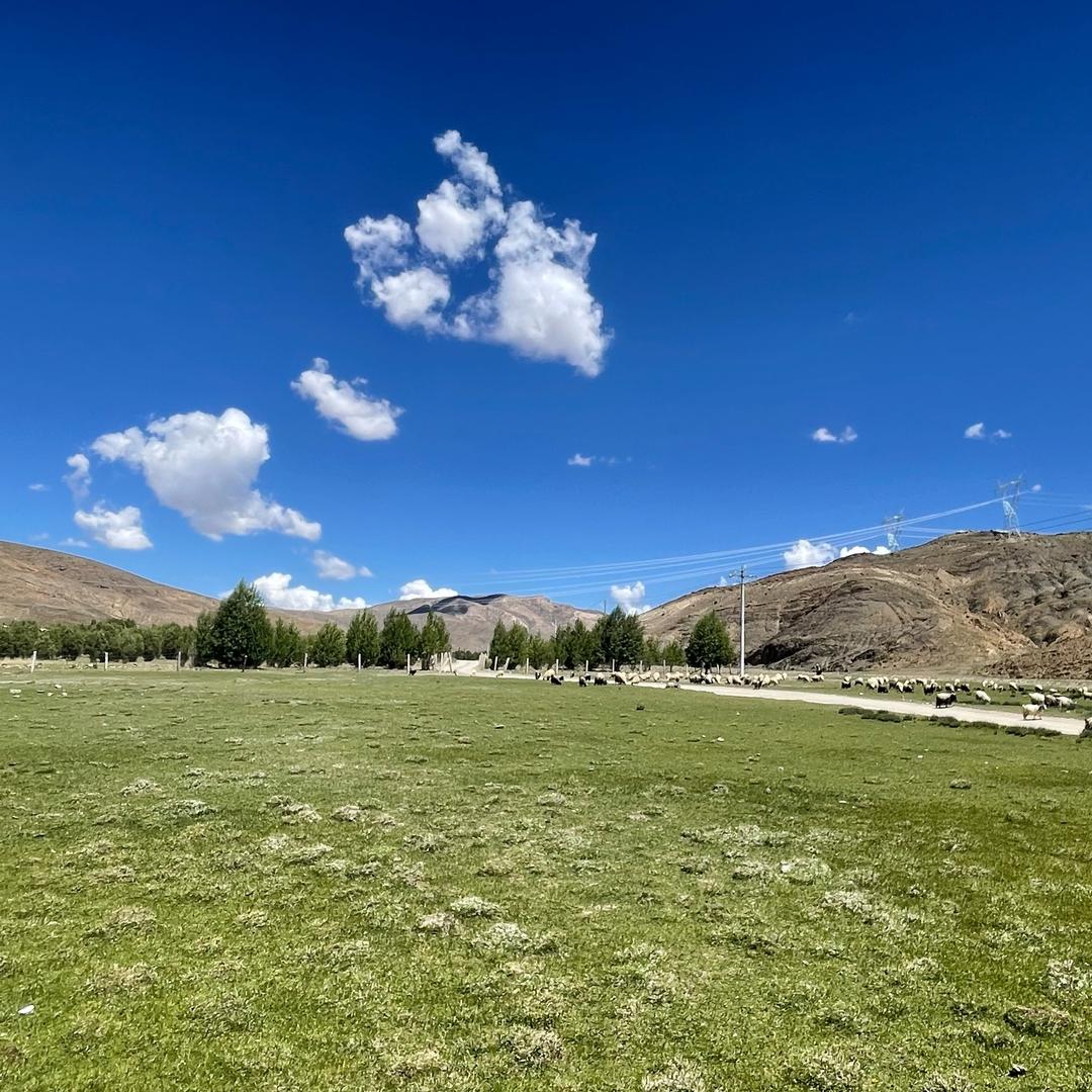 ꧁༺རྒྱ་མཚོ་༻꧂