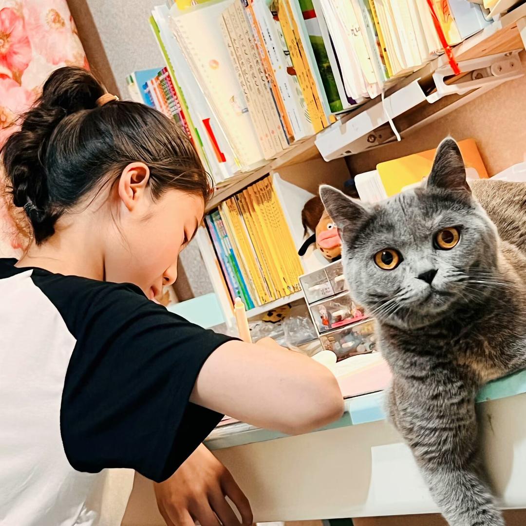 子迪