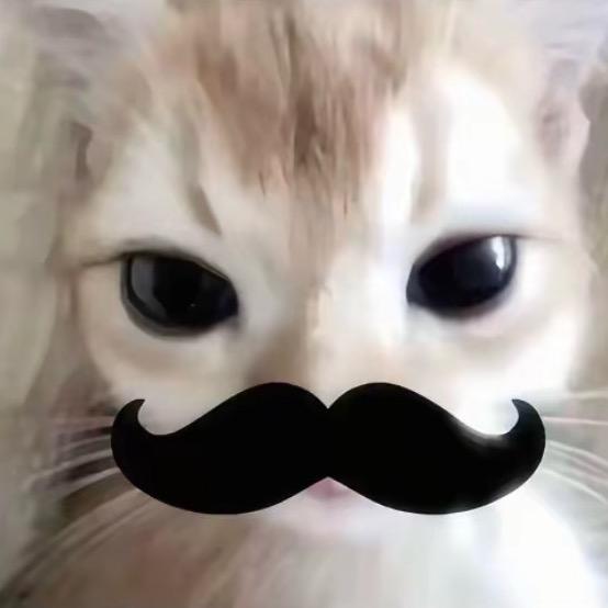 鱼鱼鱼鱼鱼