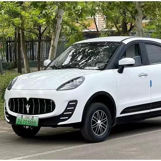 金蓬低速代步车工厂