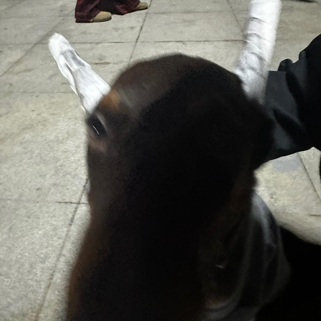 故梦的调皮且456